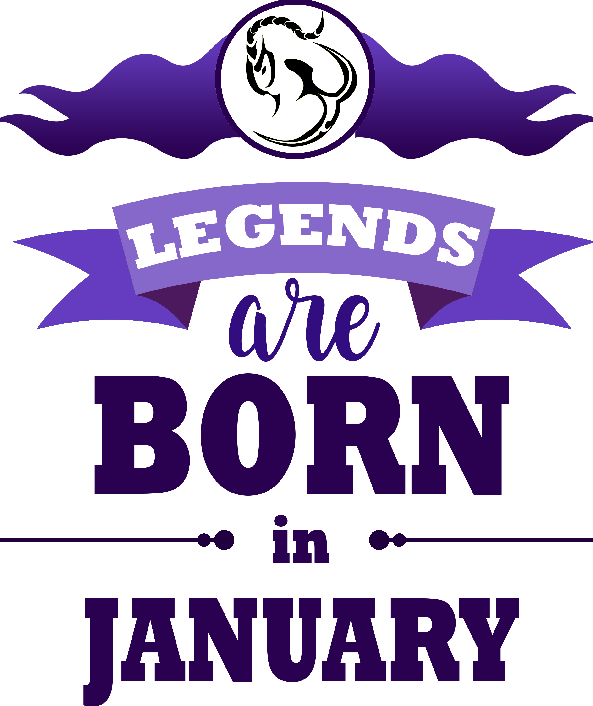 born-in-january-v-s-rl-s-az-inci-aj-nd-kgy-r-webshopban